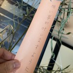 短冊